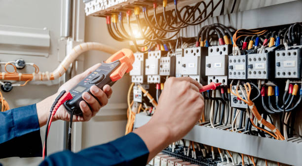 Best Local Electrician Companies  in Loughman, FL